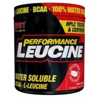 Leucine Performance