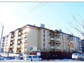 Свайные работы