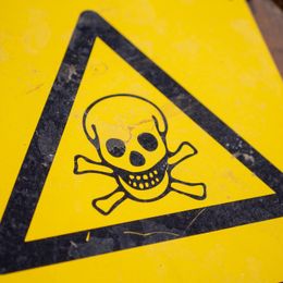 4461673 жд вокзал владивостока телефон