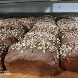 Россельхознадзор найден адрес и телефон